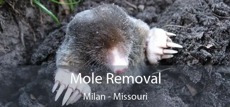 Mole Removal Milan - Missouri