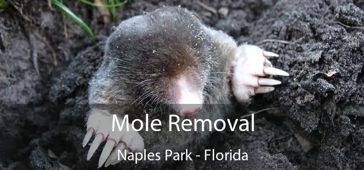 Mole Removal Naples Park - Florida