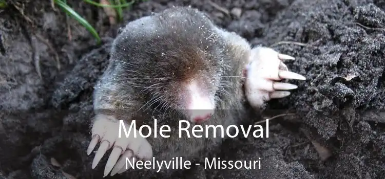 Mole Removal Neelyville - Missouri