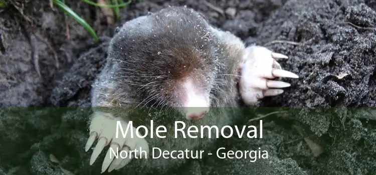 Mole Removal North Decatur - Georgia