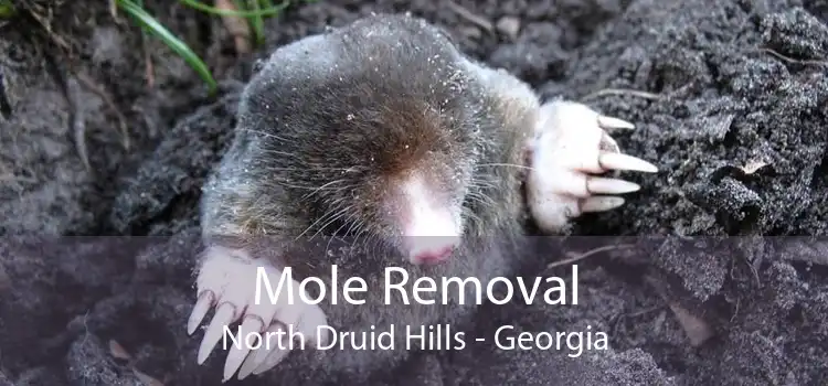Mole Removal North Druid Hills - Georgia