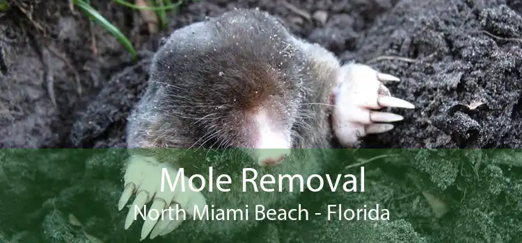 Mole Removal North Miami Beach - Florida