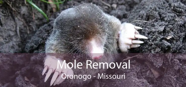 Mole Removal Oronogo - Missouri
