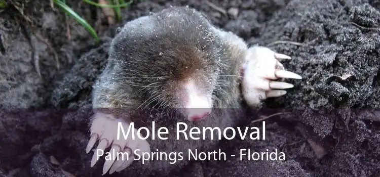 Mole Removal Palm Springs North - Florida