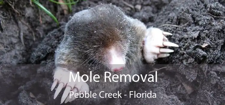 Mole Removal Pebble Creek - Florida