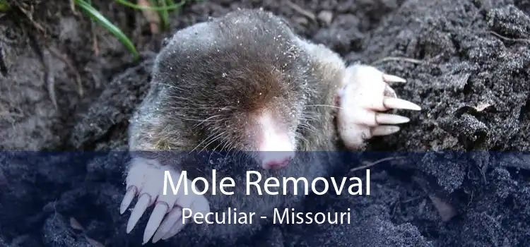 Mole Removal Peculiar - Missouri
