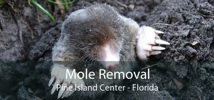 Mole Removal Pine Island Center - Florida