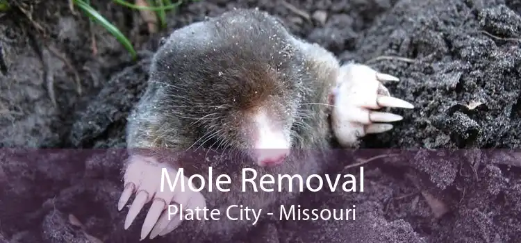 Mole Removal Platte City - Missouri