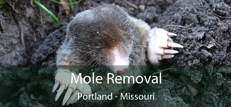 Mole Removal Portland - Missouri