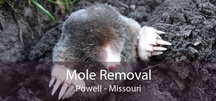 Mole Removal Powell - Missouri