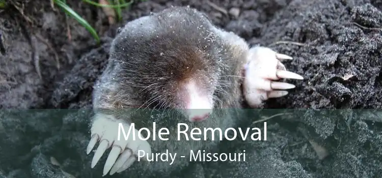 Mole Removal Purdy - Missouri