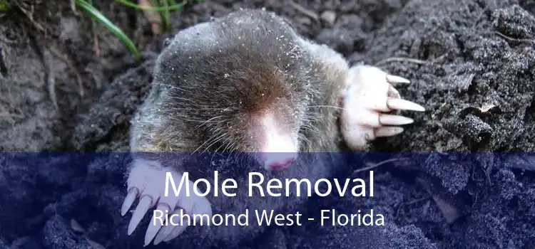 Mole Removal Richmond West - Florida