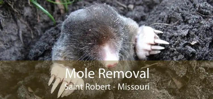 Mole Removal Saint Robert - Missouri