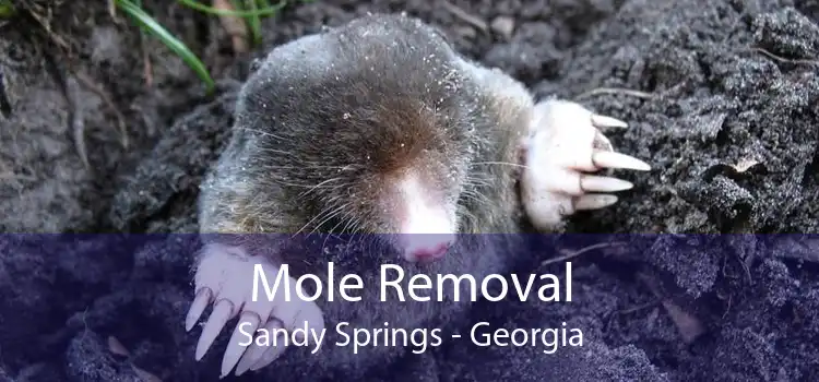 Mole Removal Sandy Springs - Georgia