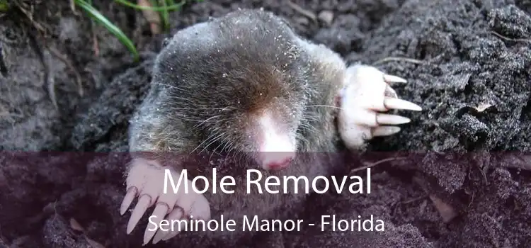 Mole Removal Seminole Manor - Florida