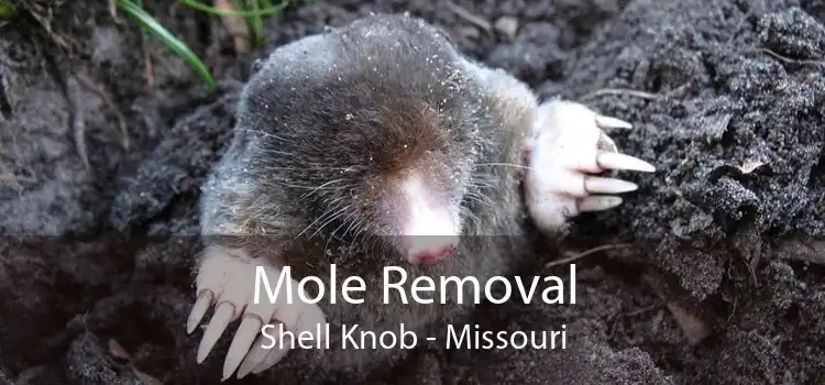 Mole Removal Shell Knob - Missouri