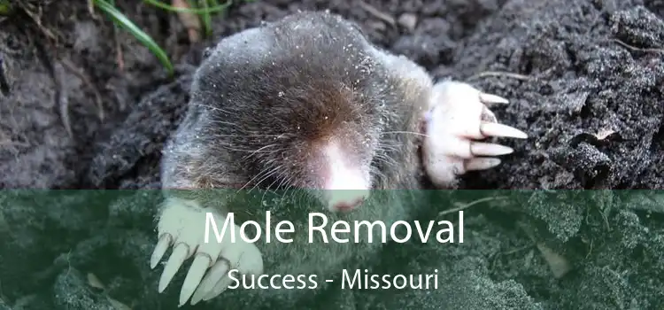 Mole Removal Success - Missouri