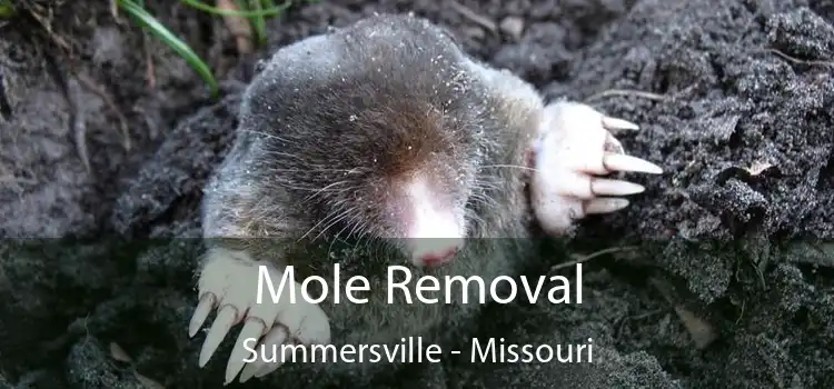 Mole Removal Summersville - Missouri