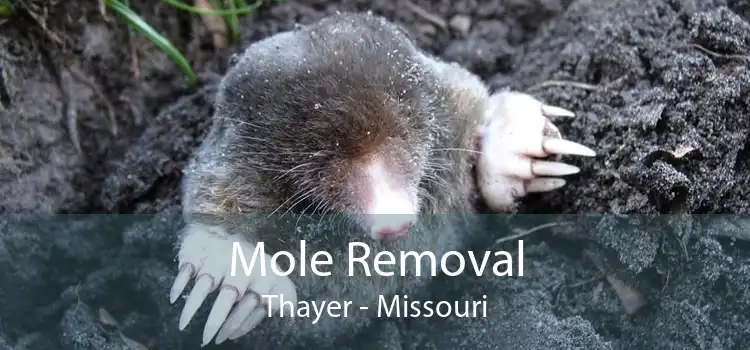 Mole Removal Thayer - Missouri
