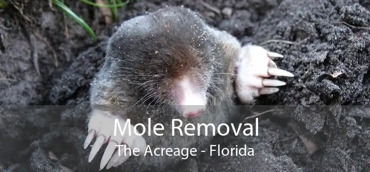 Mole Removal The Acreage - Florida