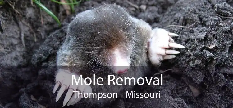 Mole Removal Thompson - Missouri