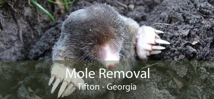 Mole Removal Tifton - Georgia