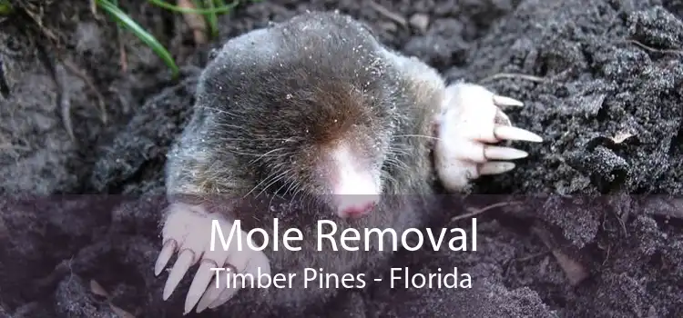 Mole Removal Timber Pines - Florida