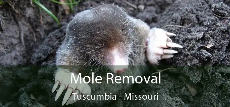 Mole Removal Tuscumbia - Missouri