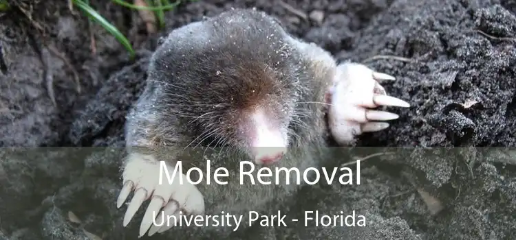 Mole Removal University Park - Florida