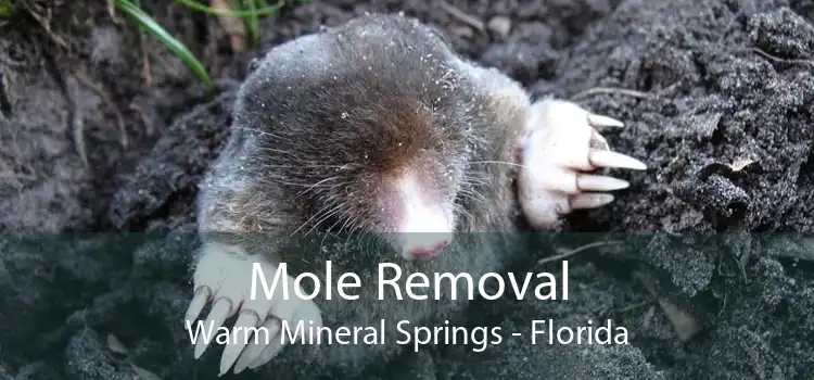Mole Removal Warm Mineral Springs - Florida