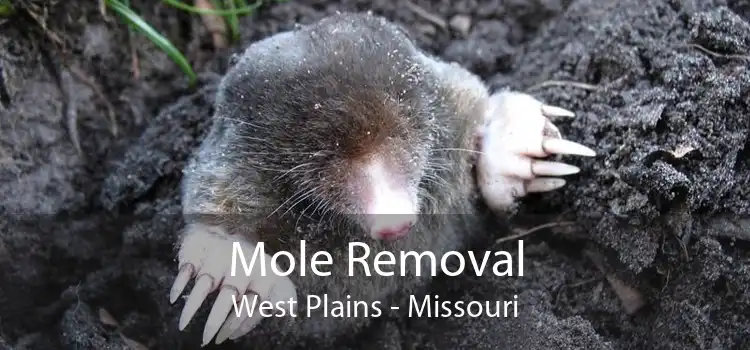 Mole Removal West Plains - Missouri