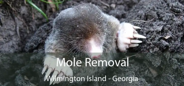 Mole Removal Wilmington Island - Georgia