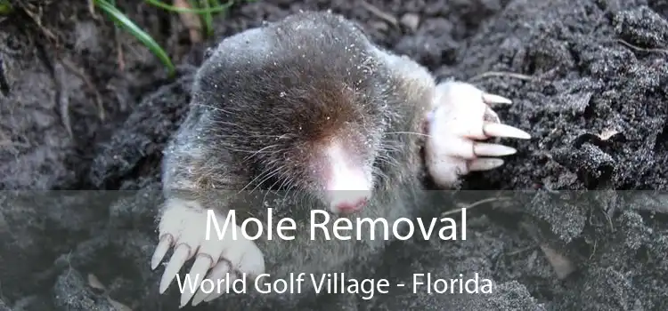 Mole Removal World Golf Village - Florida