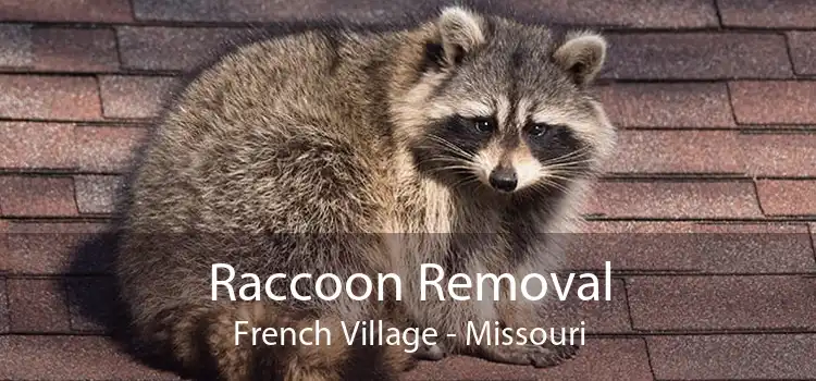 Raccoon Removal French Village - Missouri