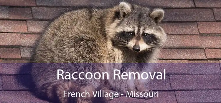 Raccoon Removal French Village - Missouri