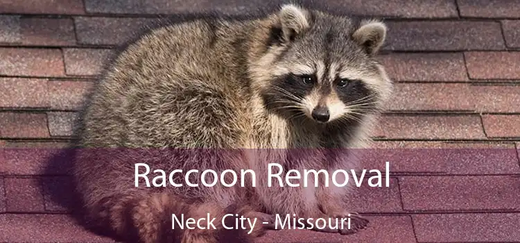 Raccoon Removal Neck City - Missouri