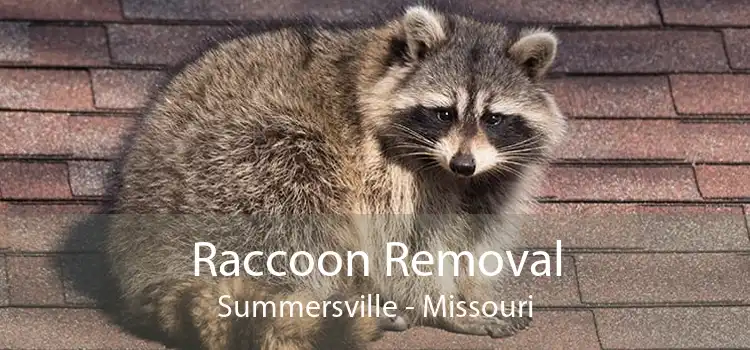 Raccoon Removal Summersville - Missouri