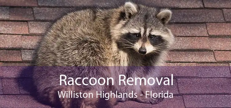 Raccoon Removal Williston Highlands - Florida