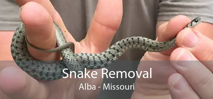 Snake Removal Alba - Missouri