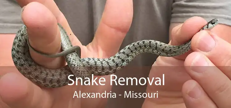 Snake Removal Alexandria - Missouri
