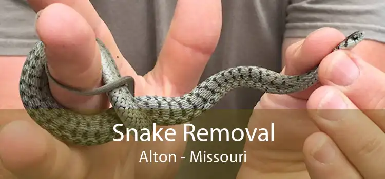 Snake Removal Alton - Missouri