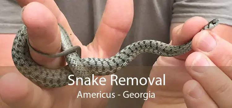 Snake Removal Americus - Georgia