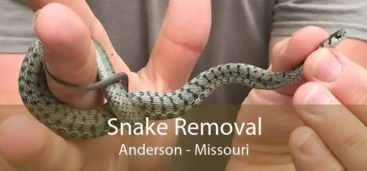 Snake Removal Anderson - Missouri