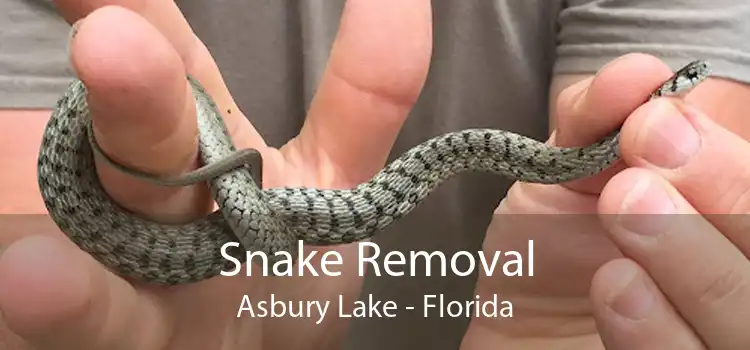 Snake Removal Asbury Lake - Florida