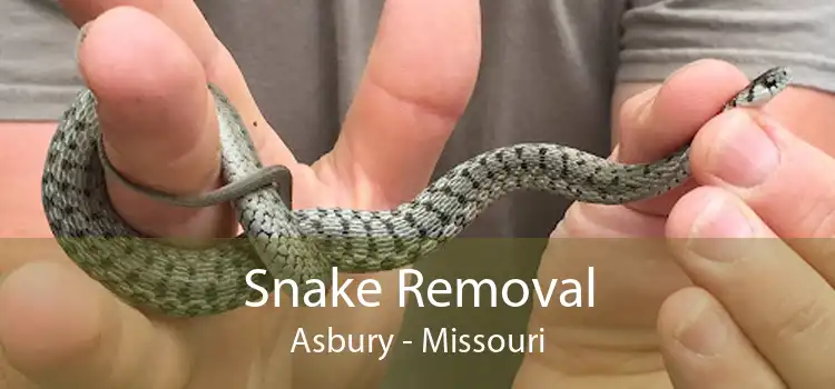 Snake Removal Asbury - Missouri