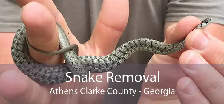 Snake Removal Athens Clarke County - Georgia