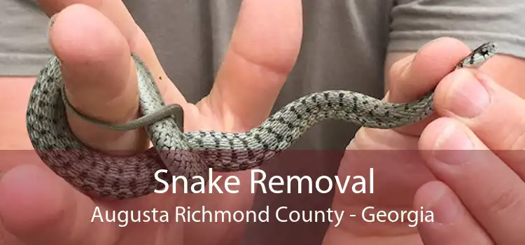Snake Removal Augusta Richmond County - Georgia
