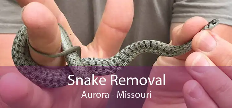 Snake Removal Aurora - Missouri