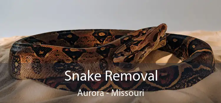 Snake Removal Aurora - Missouri