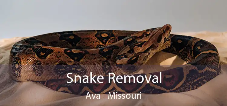 Snake Removal Ava - Missouri